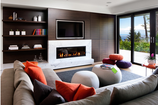 Collie TV unit